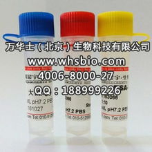 豚鼠igg凍干粉 從生物試劑到信息技術(shù)領(lǐng)域的創(chuàng)新應(yīng)用