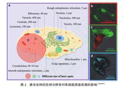 生物技術(shù)通報(bào)2021年1月最新上線文章精選 前沿生物技術(shù)進(jìn)展概覽