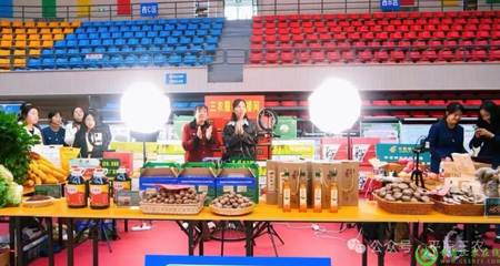 科技賦能 豐收盛典——中國(guó)農(nóng)民豐收節(jié)平?jīng)鱿盗袘c祝活動(dòng)精彩紛呈